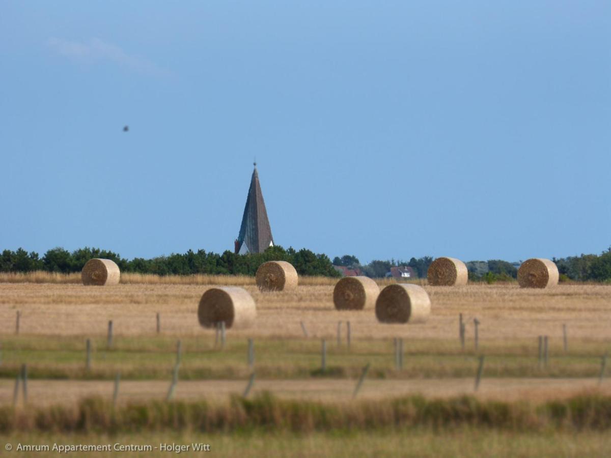 Strand Residenz Amrum *Strand Residenz 9* Wittdün Exteriör bild