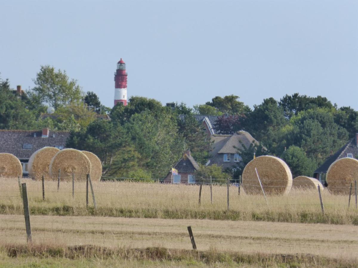 Strand Residenz Amrum *Strand Residenz 9* Wittdün Exteriör bild
